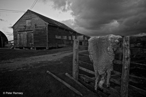 The Old Buildings IMG_8686