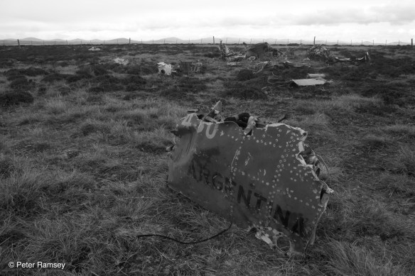 Argentine Dagger Wreakage IMG_8755