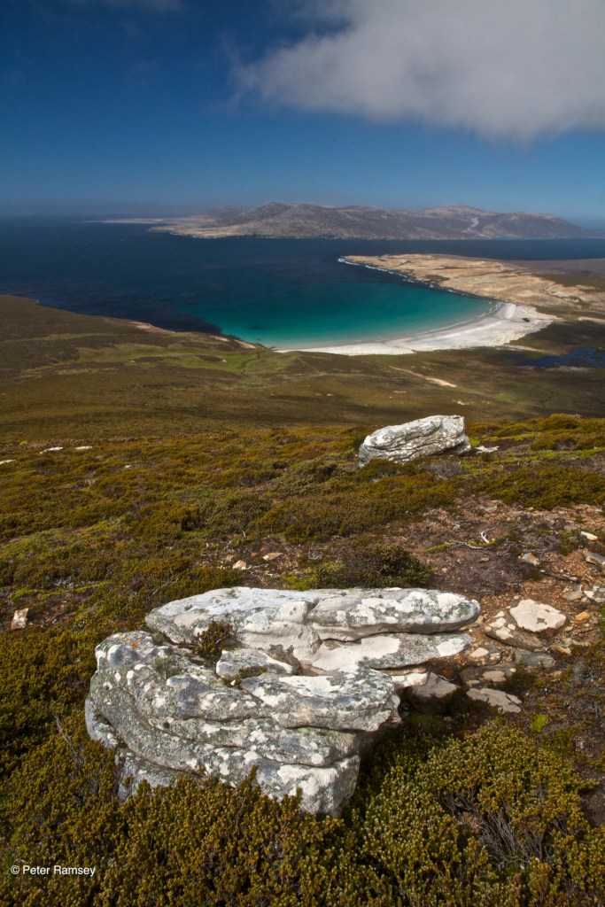 Saunders Island