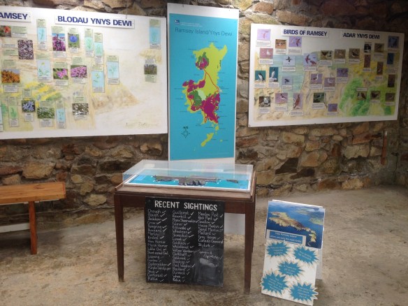 The Boathouse - the stage for the Introductory Talks IMG_6750