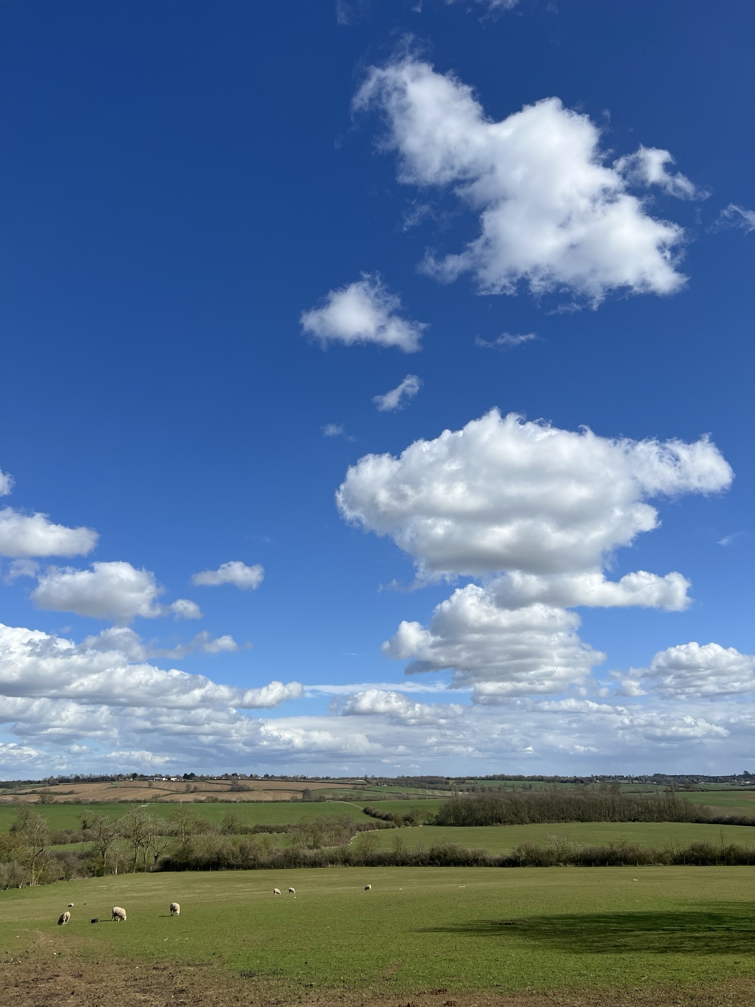 A very spring picture | Daft Mumblings